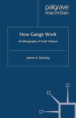 eBook (pdf) How Gangs Work de J. Densley