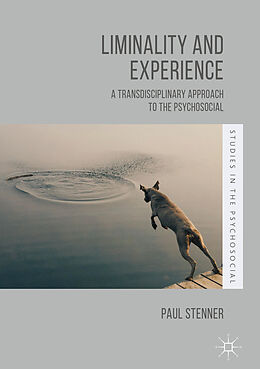 Fester Einband Liminality and Experience von Paul Stenner