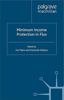 eBook (pdf) Minimum Income Protection in Flux de 
