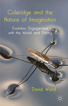 Fester Einband Coleridge and the Nature of Imagination von D. Ward