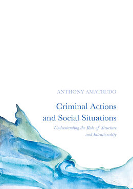 Livre Relié Criminal Actions and Social Situations de Anthony Amatrudo