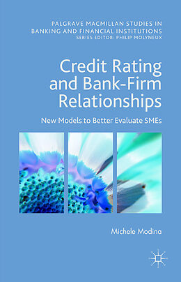 Fester Einband Credit Rating and Bank-Firm Relationships von Michele Modina