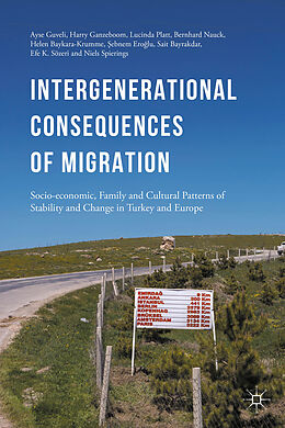Livre Relié Intergenerational consequences of migration de Ayse Guveli, Harry Ganzeboom, Lucinda Platt