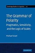 E-Book (epub) Grammar of Polarity von Michael Israel