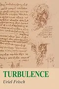 E-Book (pdf) Turbulence von Uriel Frisch