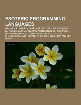 Kartonierter Einband Esoteric programming languages von 