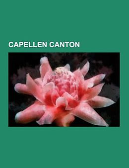 Kartonierter Einband Capellen canton von 