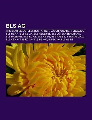 BLS AG