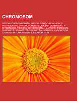 Kartonierter Einband Chromosom von 