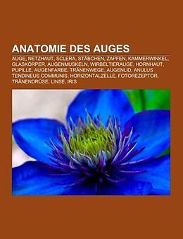 Kartonierter Einband Anatomie Des Auges von 