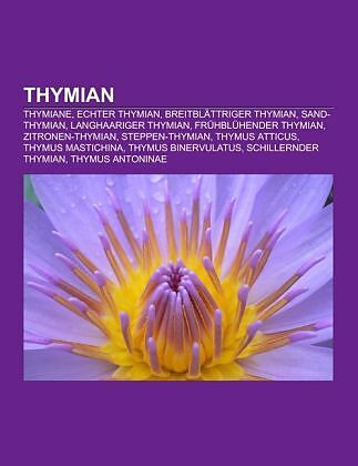 Thymian
