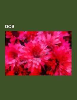 Kartonierter Einband DOS von 