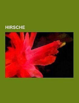 Kartonierter Einband Hirsche von 