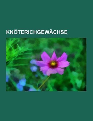 Knöterichgewächse