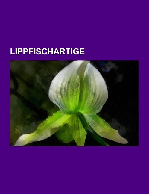 Lippfischartige