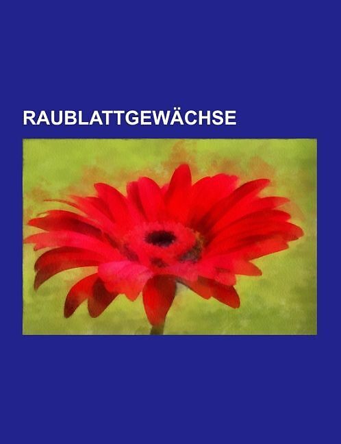 Raublattgewächse