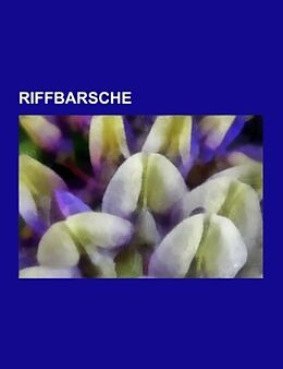 Kartonierter Einband Riffbarsche von 