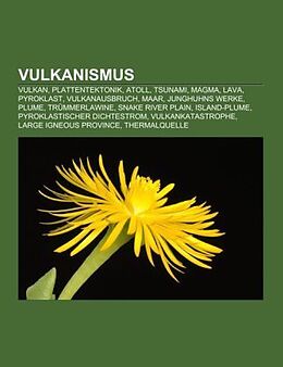 Kartonierter Einband Vulkanismus von 