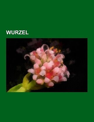 Wurzel