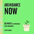 E-Book (epub) Abundance Now von Jesse Sands
