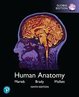 E-Book (pdf) Human Anatomy, Global Edition von Elaine N. Marieb, Patricia M. Brady, Jon B. Mallatt