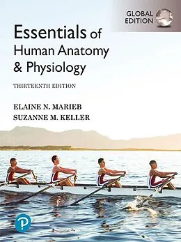 E-Book (pdf) Essentials of Human Anatomy & Physiology, Global Edition von Elaine N. Marieb, Suzanne M. Keller