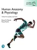 E-Book (pdf) Human Anatomy & Physiology, Global Edition von Elaine N. Marieb, Katja Hoehn
