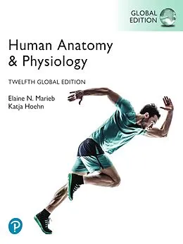 E-Book (pdf) Human Anatomy & Physiology, Global Edition von Elaine N. Marieb, Katja Hoehn