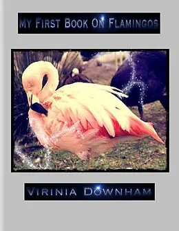 E-Book (epub) My First Book on Flamingos von Virinia Downham