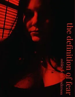 E-Book (epub) The Definition of Fear von Ashley Leigh Anderson