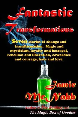E-Book (epub) Fantastic Transformations, A Short Story Collection von Jamie McNabb