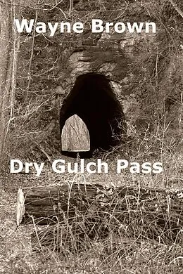 E-Book (epub) Dry Gulch Pass von Wayne Brown