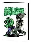 Fester Einband INCREDIBLE HULK BY PETER DAVID OMNIBUS VOL. 5 von David Peter