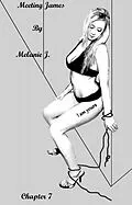 E-Book (epub) Meeting James Chapter 7 von Melanie J.