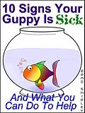 E-Book (epub) 10 Signs Your Guppy Is Sick (And What You Can Do To Help) von Brad Shirley