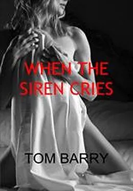 E-Book (epub) When the Siren Cries von Tom Barry
