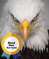 eBook (epub) Blood flow Raw fusion de Perry Ward jr