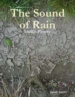 E-Book (epub) The Sound of Rain von Jacob Salzer
