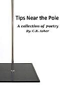 Kartonierter Einband Tips Near The Pole von C. R. Asher