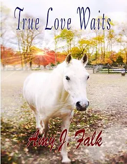 E-Book (epub) True Love Waits von Amy J. Falk
