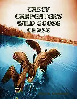 E-Book (epub) Casey Carpenter's Wild Goose Chase von Jesse W. Thompson