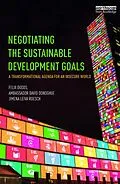 E-Book (epub) Negotiating the Sustainable Development Goals von Felix Dodds, Ambassador David Donoghue, Jimena Leiva Roesch