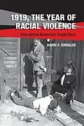 E-Book (pdf) 1919, The Year of Racial Violence von David F. Krugler