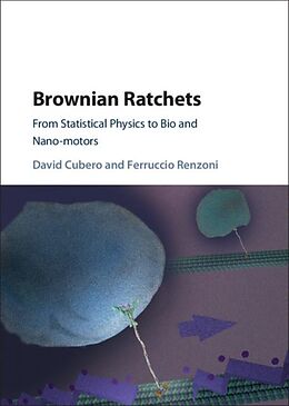 E-Book (pdf) Brownian Ratchets von David Cubero