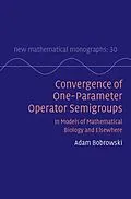 ePUB Convergence of One-Parameter Operator Semigroups von Adam Bobrowski
