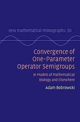 ePUB Convergence of One-Parameter Operator Semigroups von Adam Bobrowski