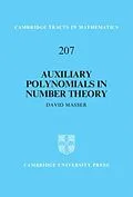 E-Book (pdf) Auxiliary Polynomials in Number Theory von David Masser