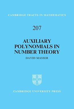 E-Book (pdf) Auxiliary Polynomials in Number Theory von David Masser