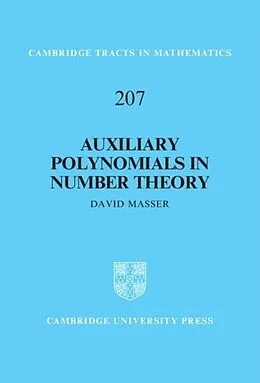 E-Book (pdf) Auxiliary Polynomials in Number Theory von David Masser