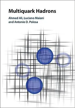 E-Book (epub) Multiquark Hadrons von Ahmed Ali